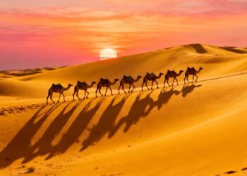 Dubai Travel Guide 2025: Modern Marvels, Desert Adventures & Cultural Tips