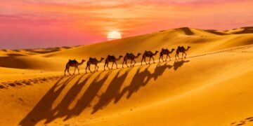 Dubai Travel Guide 2025: Modern Marvels, Desert Adventures & Cultural Tips