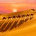 Dubai Travel Guide 2025: Modern Marvels, Desert Adventures & Cultural Tips