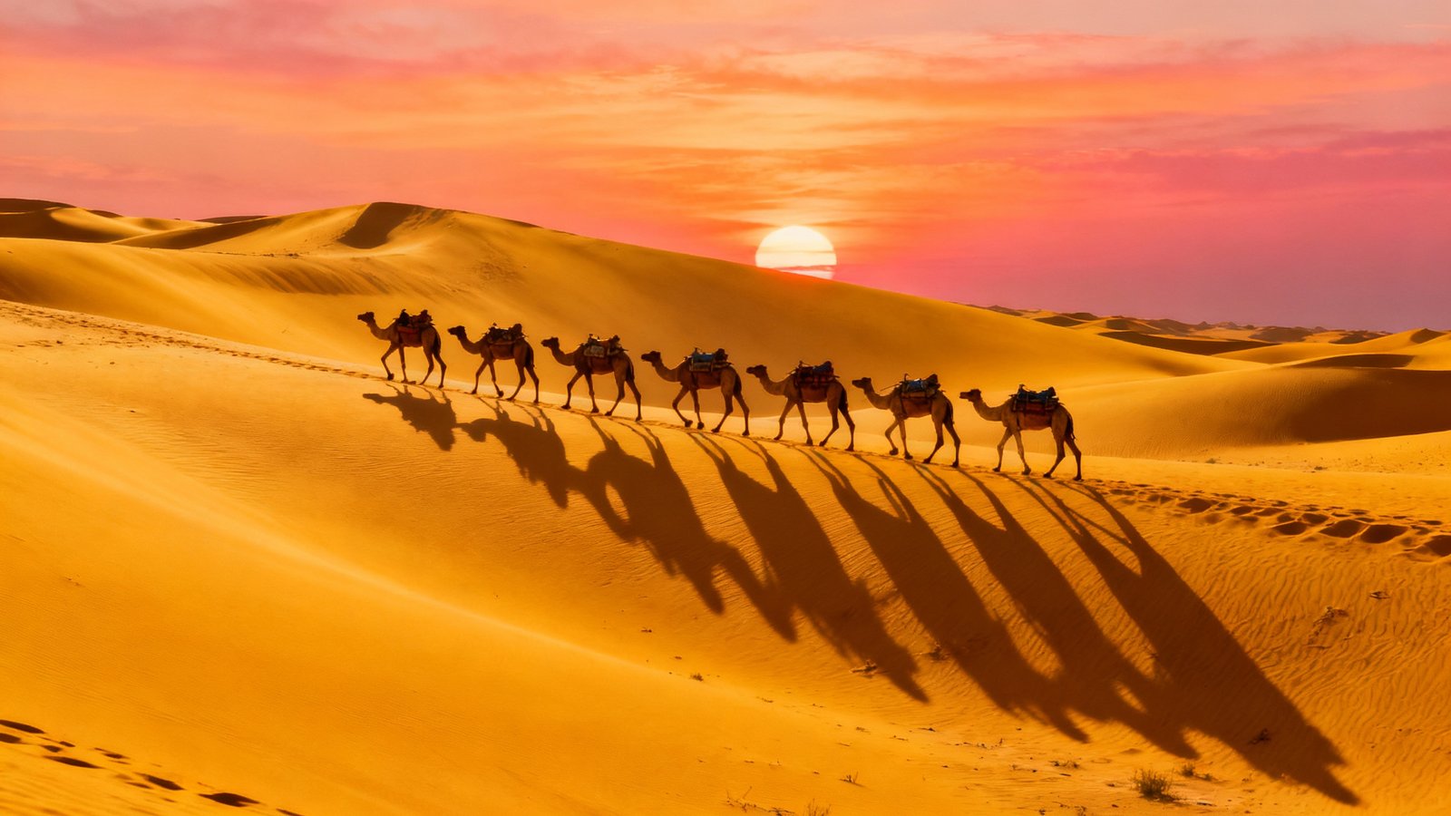 A caravan of camels trekking across vast, golden desert dunes at sunset, captured with sharp, vivid colors and professional travel photography style